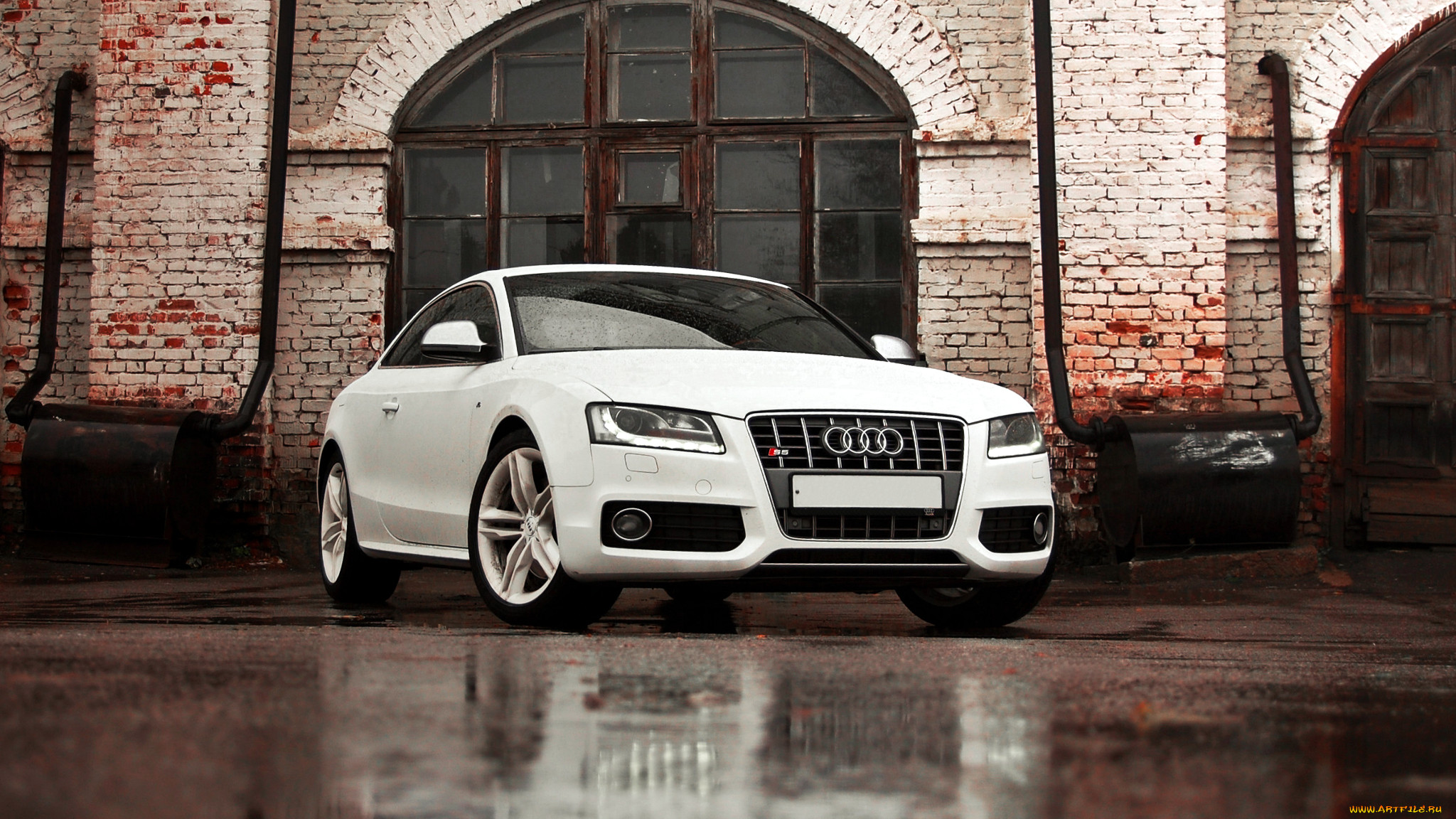 audi, a5, , volkswagen, group, 